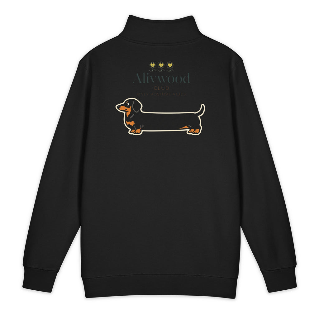SausageDog Lane Seven LS14014 Premium 1/4 Zip Sweatshirt - Alivwood