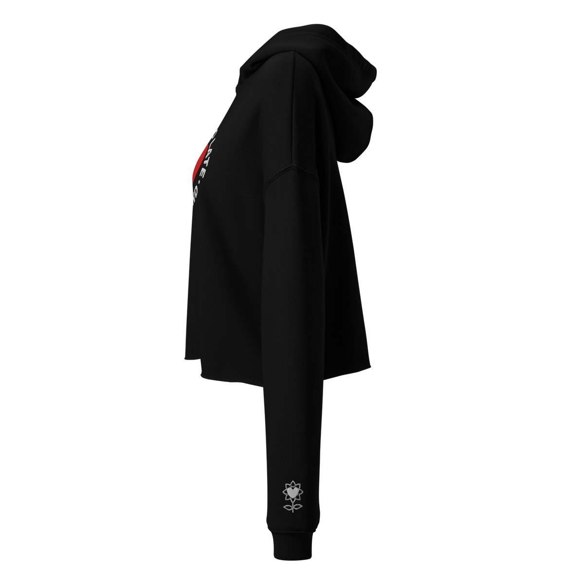Never too late Embroidery Crop Hoodie - Alivwood