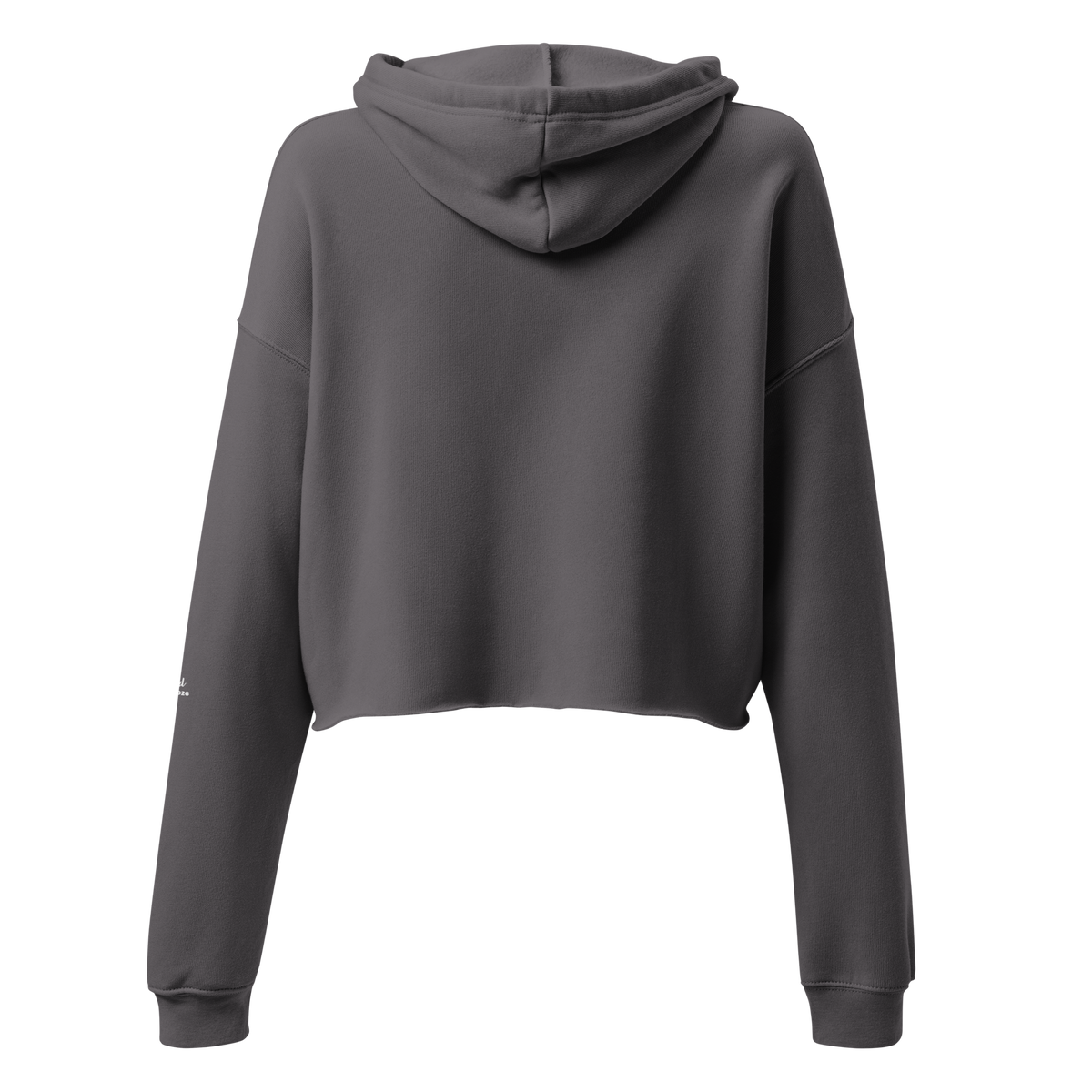Retrospective Crop Hoodie - Alivwood