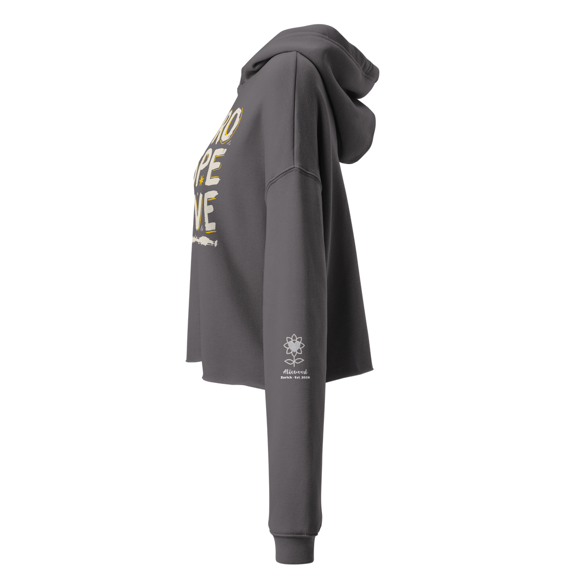 Retrospective Crop Hoodie - Alivwood