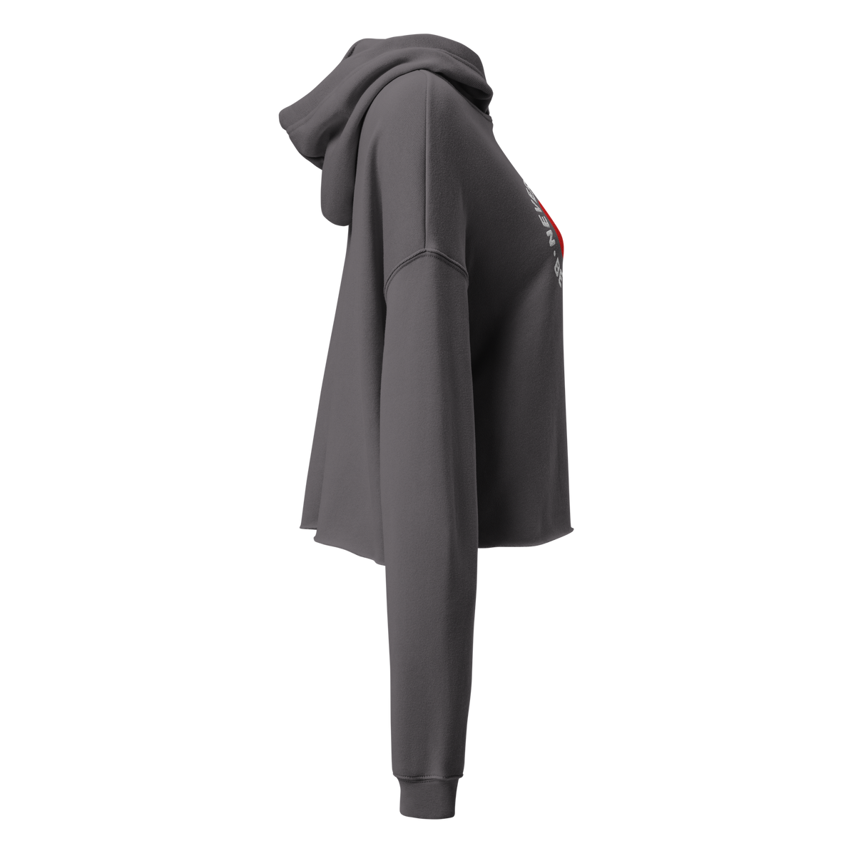 Never too late Embroidery Crop Hoodie - Alivwood
